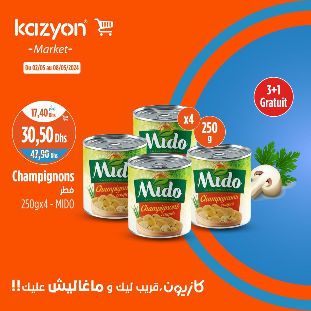Promotion Kazyon maroc du 2 au 8 mai 2024