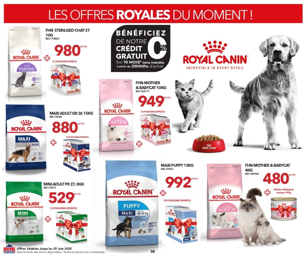 Catalogue Bricoma jusqu’au 29 juin 2025 offres ete