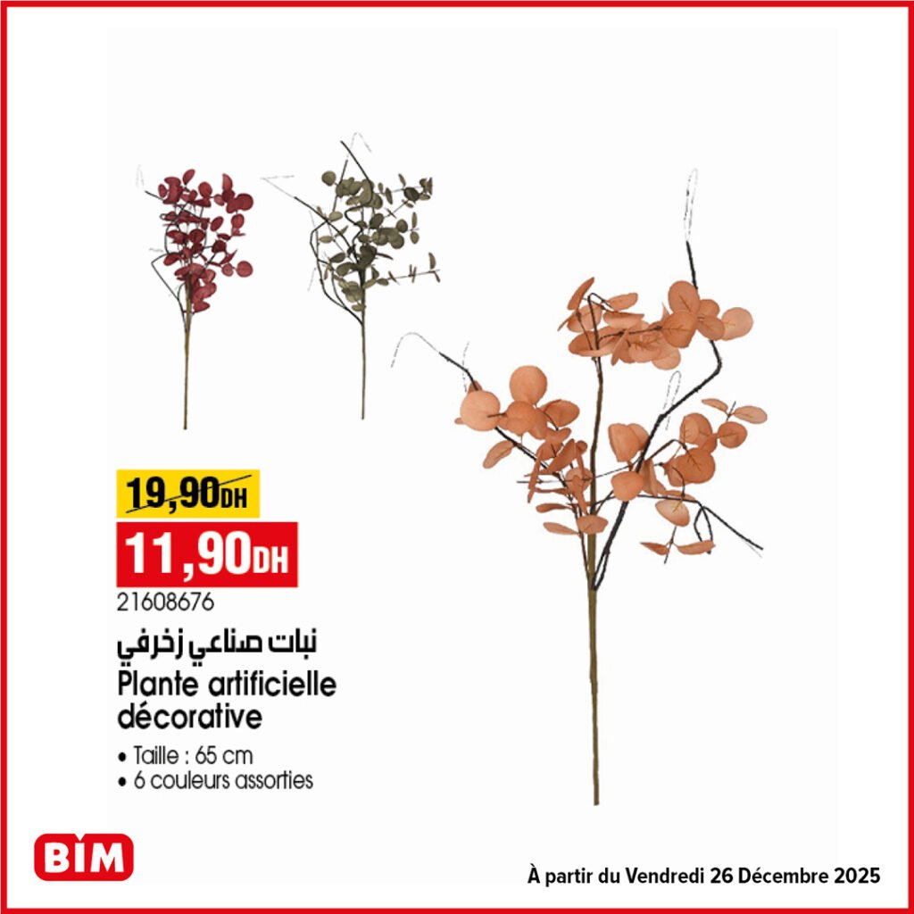 Promotion bim vendredi 26 decembre 2025